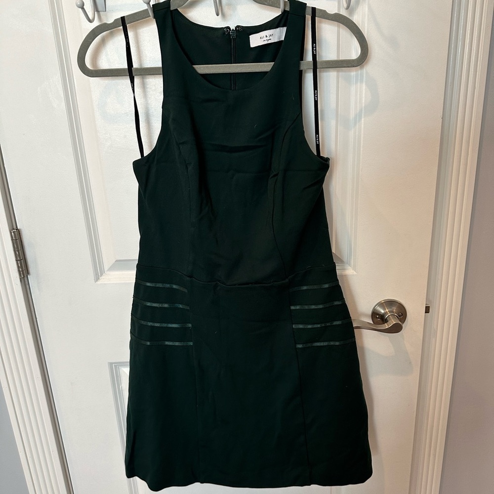 *NEW*Sz L*ALI & JAY* Dress